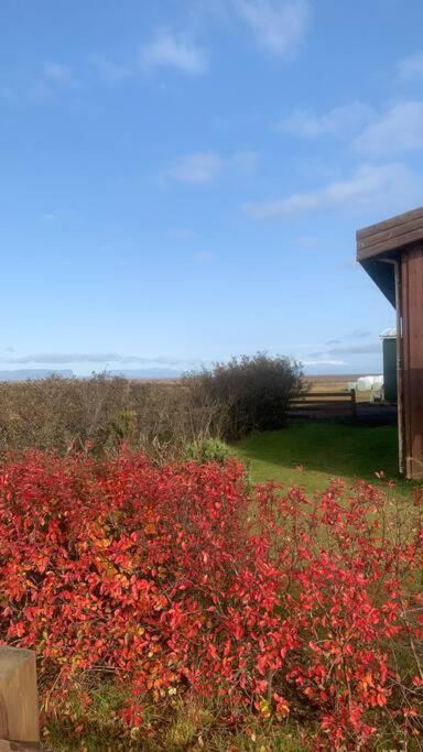 Fossar Villa Kirkjubæjarklaustur المظهر الخارجي الصورة